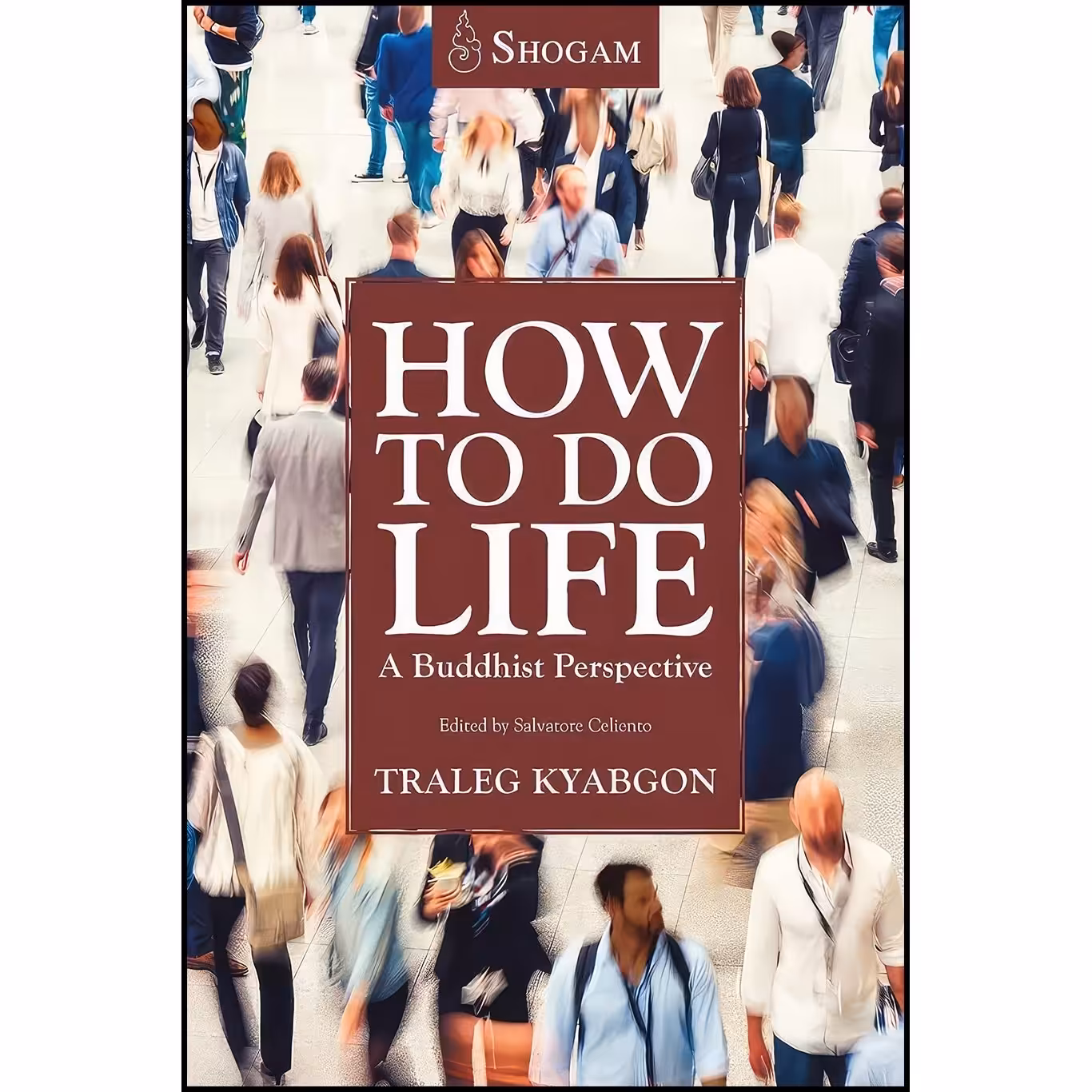کتاب زبان اصلی How To Do Life اثر Traleg Kyabgon and Salvatore Celiento MA