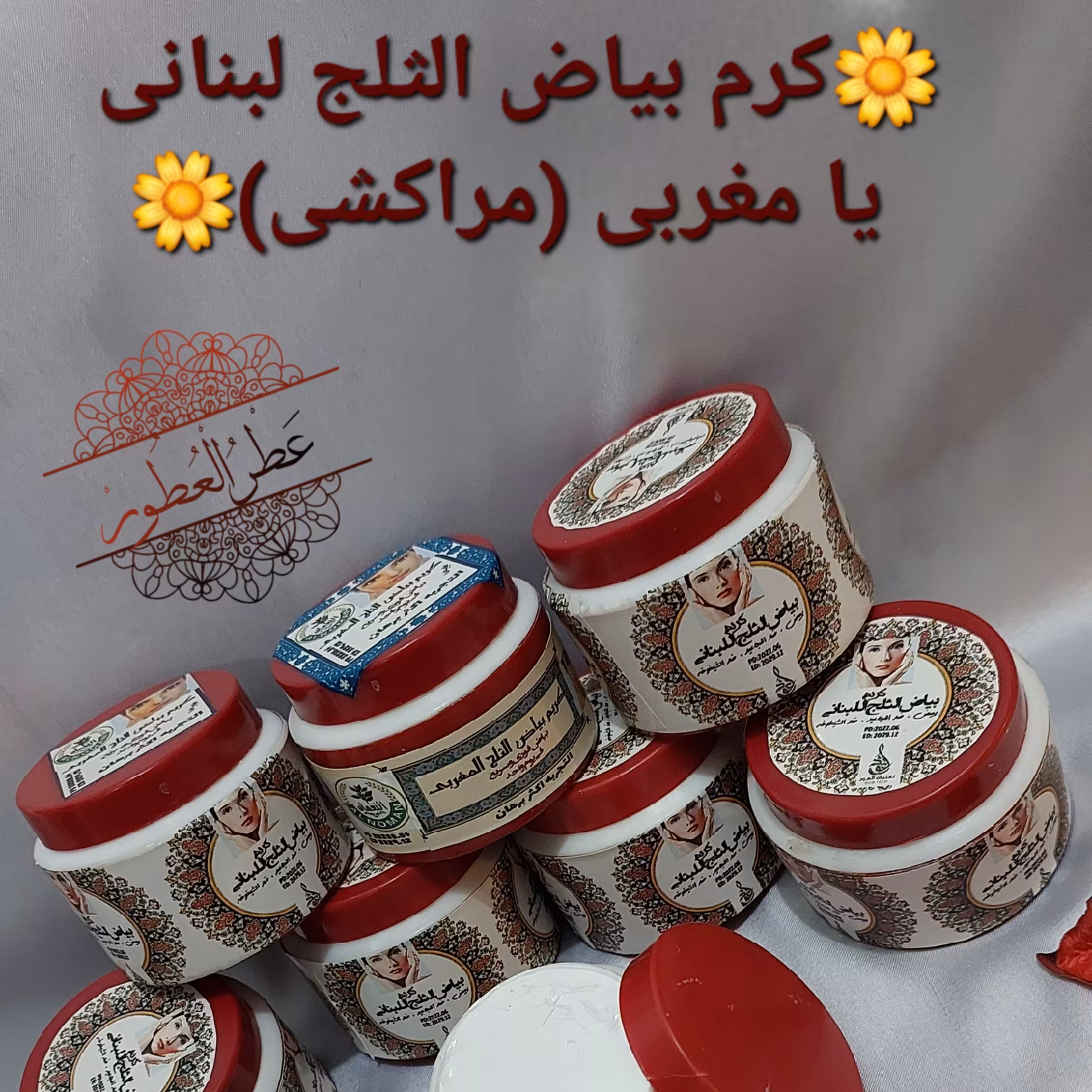 کرم روشن کننده مغربی