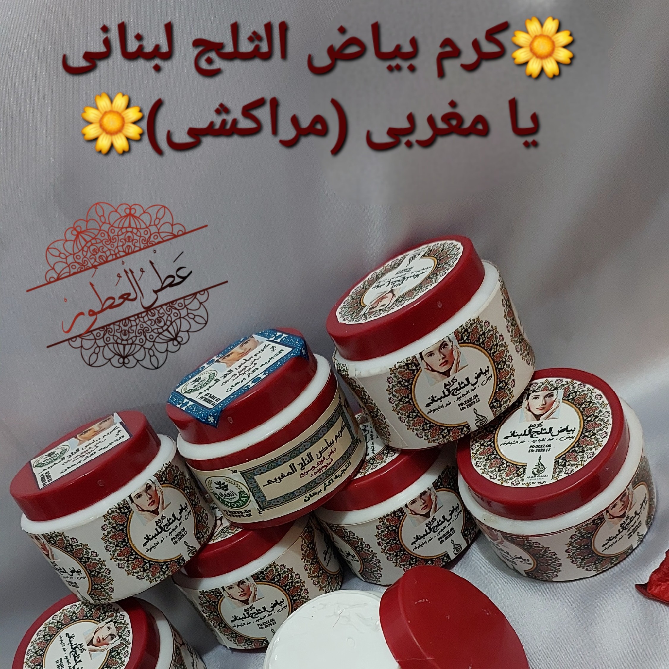 کرم روشن کننده مغربی