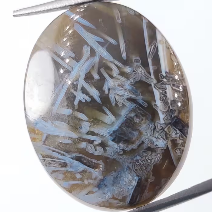 نگین سنگ عقیق شجر معدنی و طبیعی     