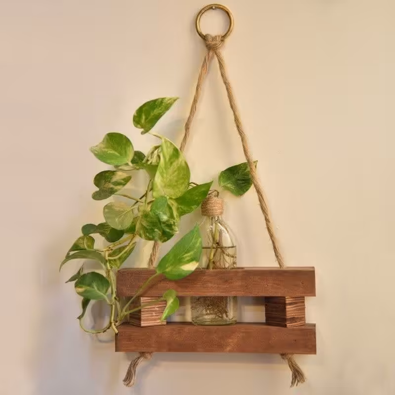  گلدان چوبی آویز  دوطبقه با قابلیت نصب به دیوار ریشه در آب