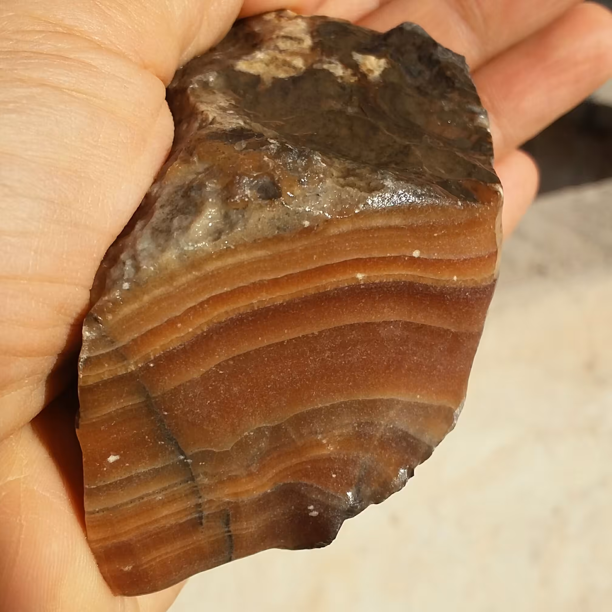 سنگ راف وارداتی آراگونیت قهوه ای 100 در 100 طبیعی شااهکار خلقت خاص
با قابلیت ساخت چندین نگین و اسلایس مجدد محشر