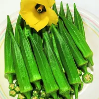 بذر بامیه روحانی 3502 پاسارگاد