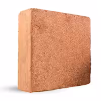 کوکوپیت هندی