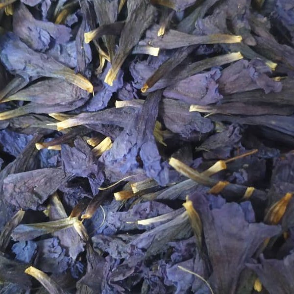 گل گاوزبان
