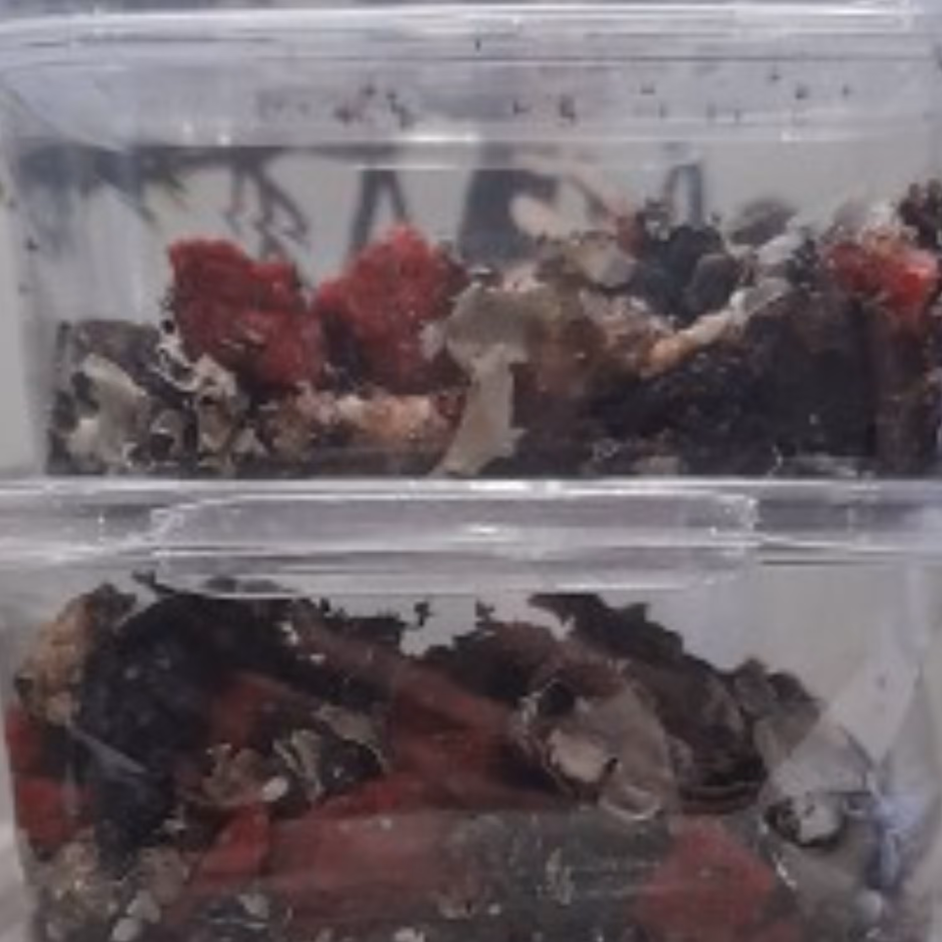 بخور آتشی دست ساز 50 گرم