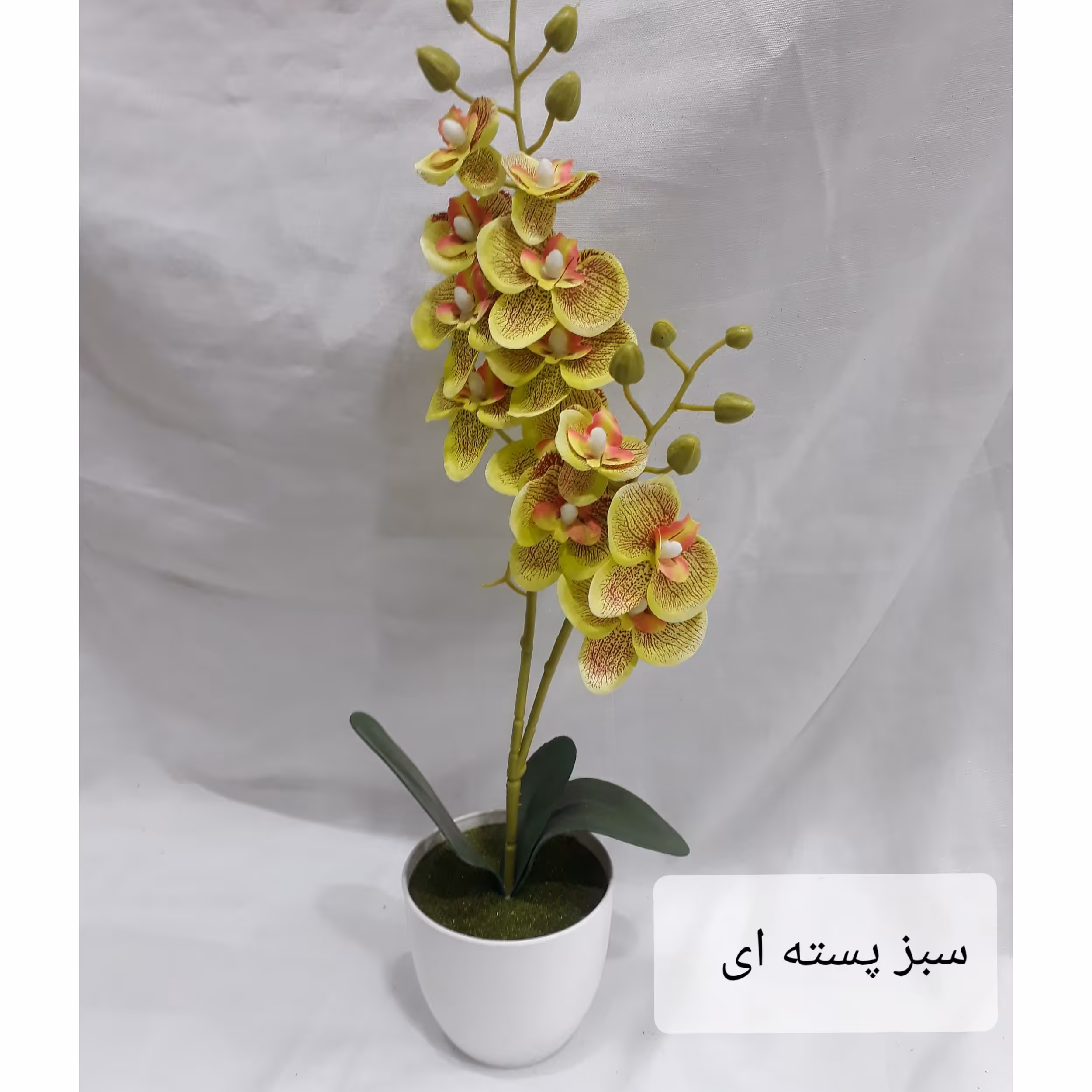 گلدان ارکیده برگ دار