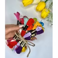 پک 60 عددی نخ گلدوزی پنگوئن