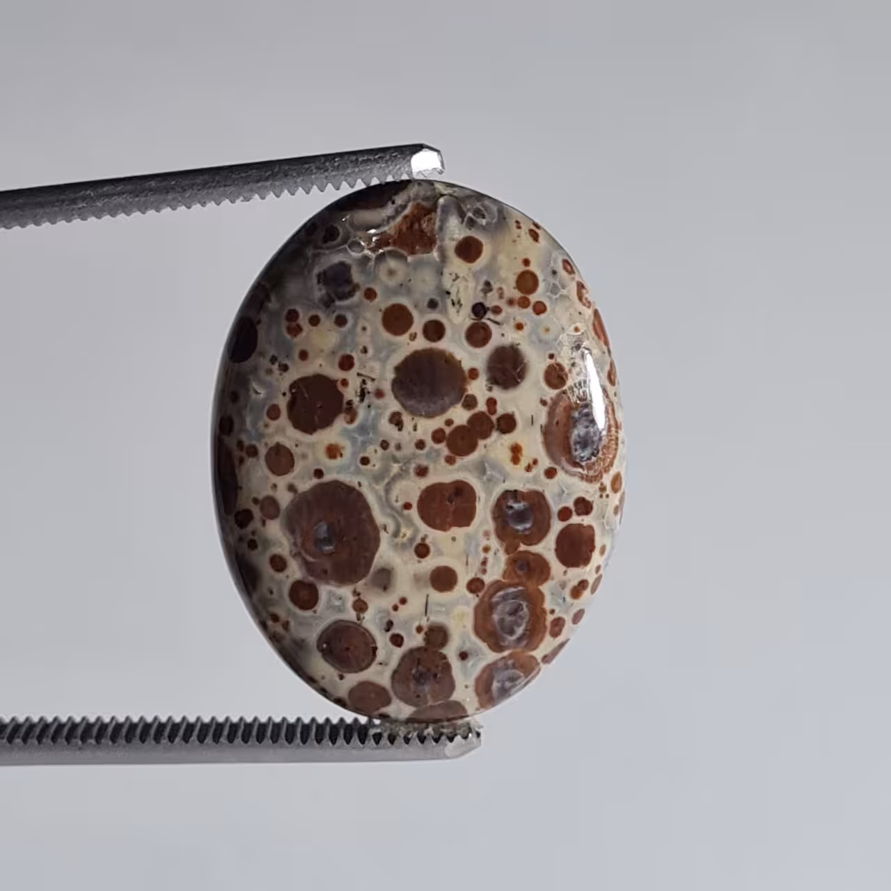 سنگ جاسپر سیارک بیضی طبیعی 5671