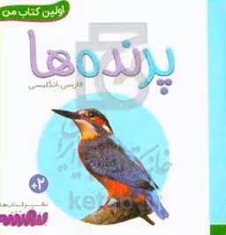 کتاب پرنده ها از اولین کتاب من