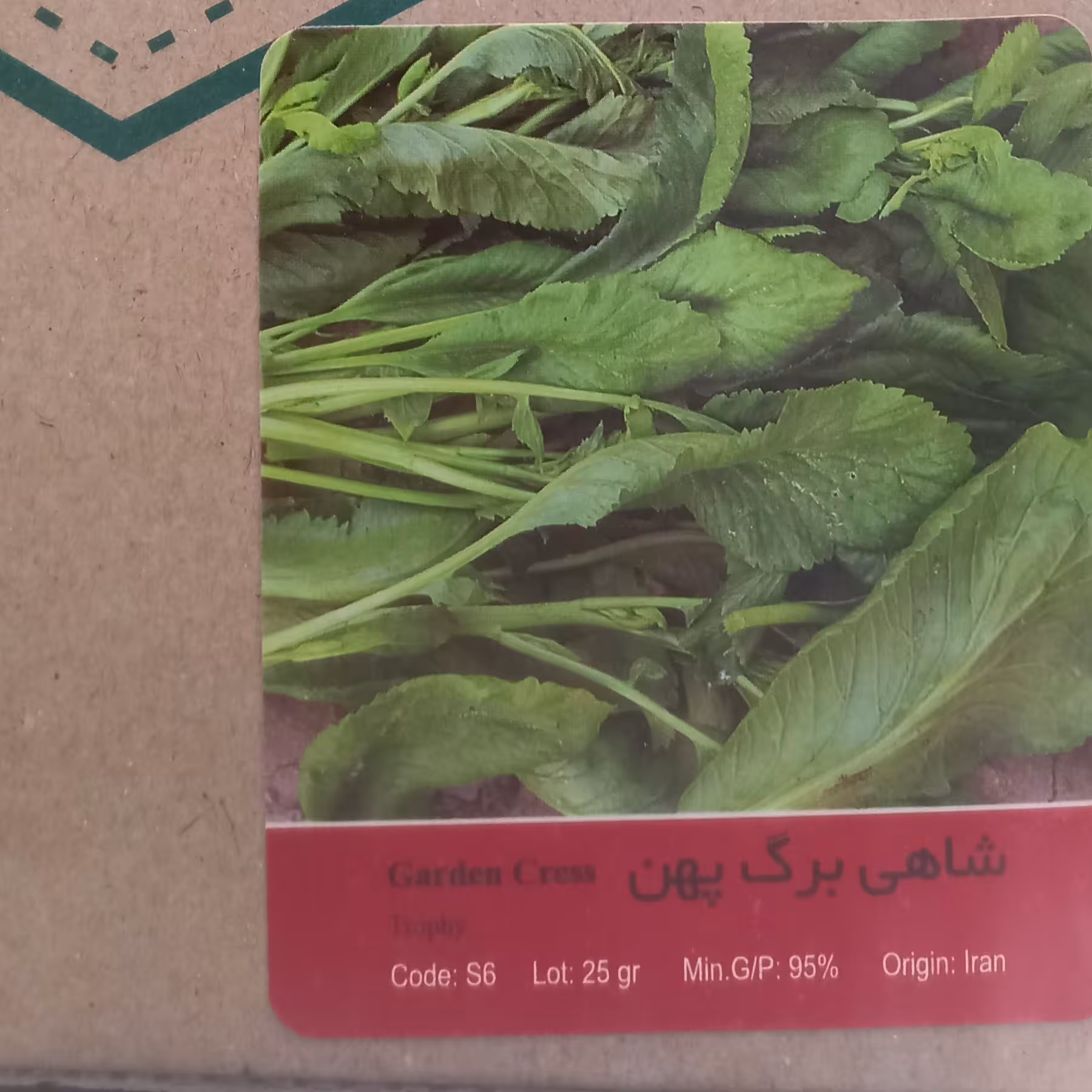 بذر سبزی شاهی پهن برگ فله 
