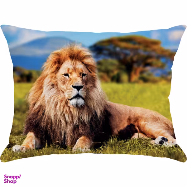 کوسن مدل R1-10850