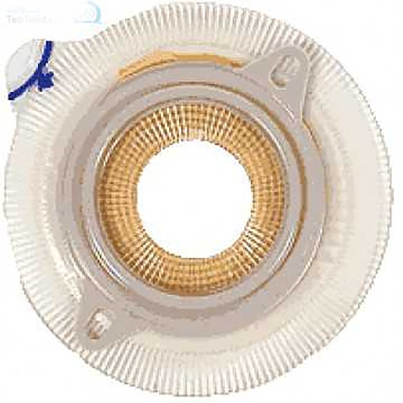 پایه کلوستمی