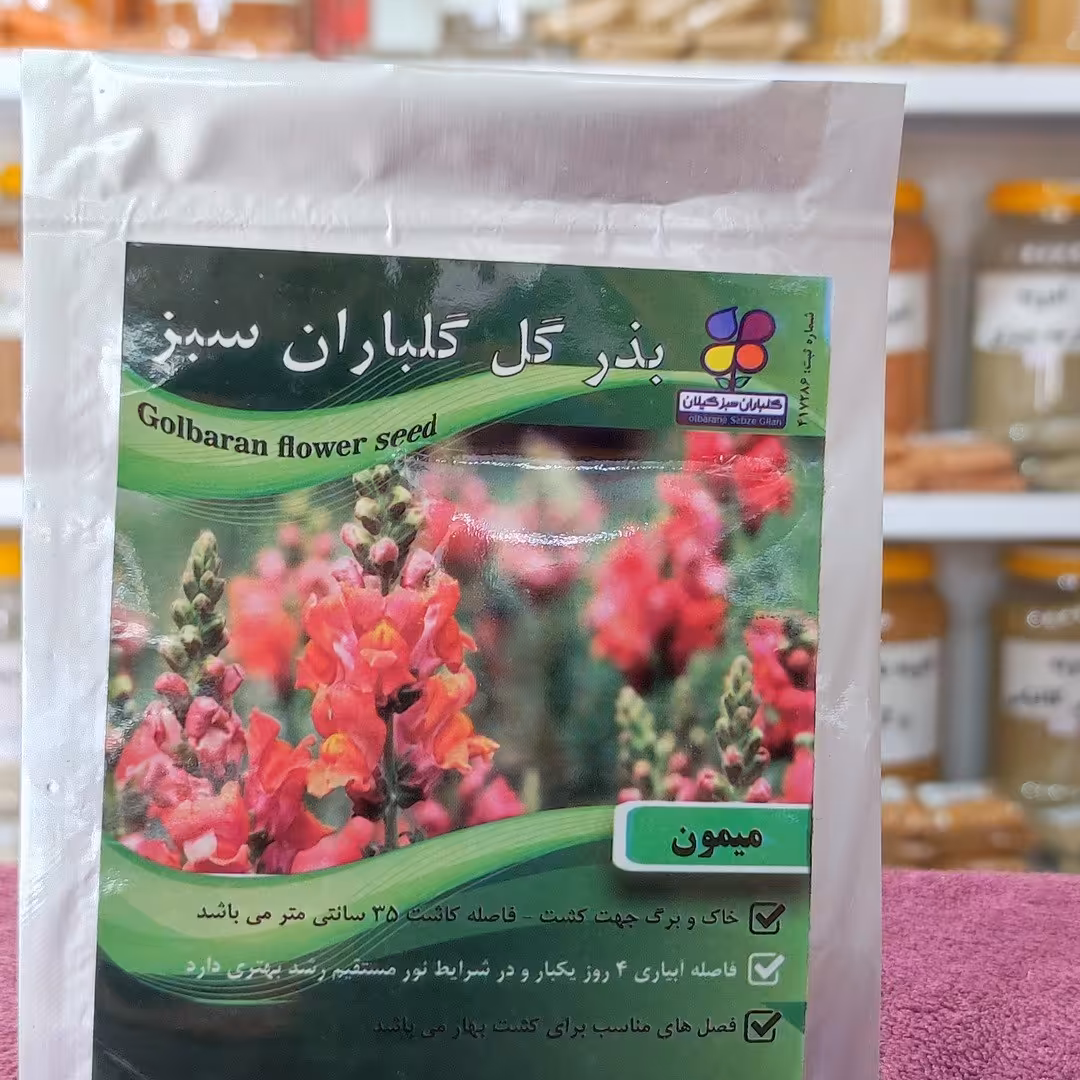 بذر گل میمون اصلاح شده گیلان