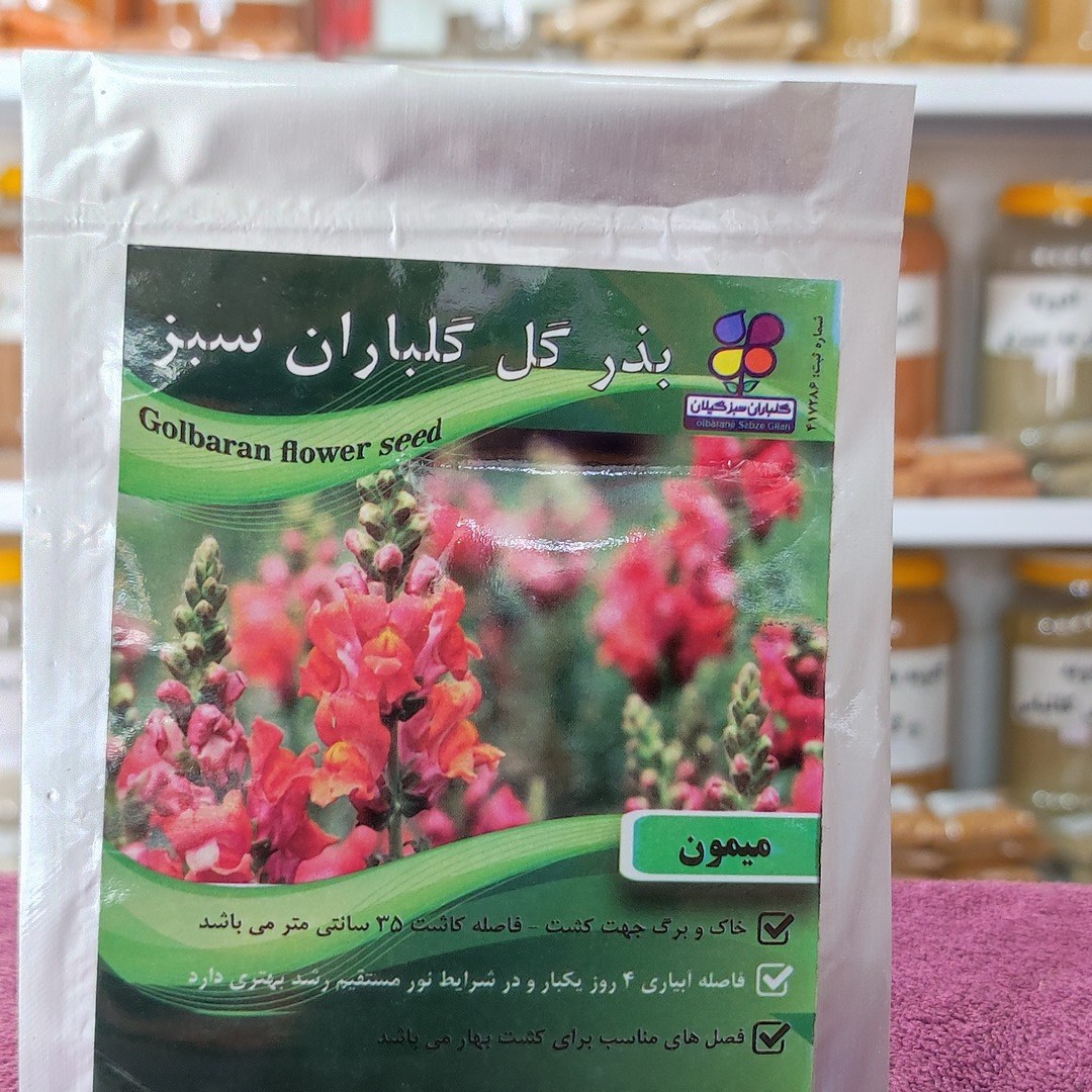 بذر گل میمون اصلاح شده گیلان