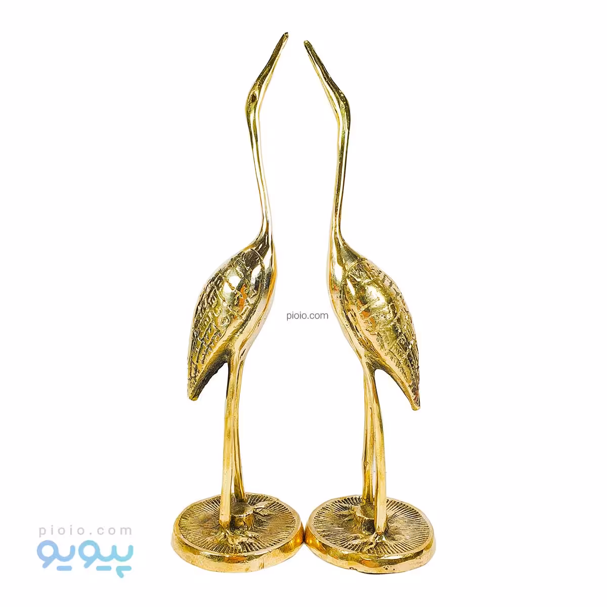 حواصیل برنجی جفت عمده و کارتنی
