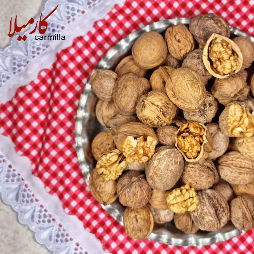 گردوی چرب ایرانی 