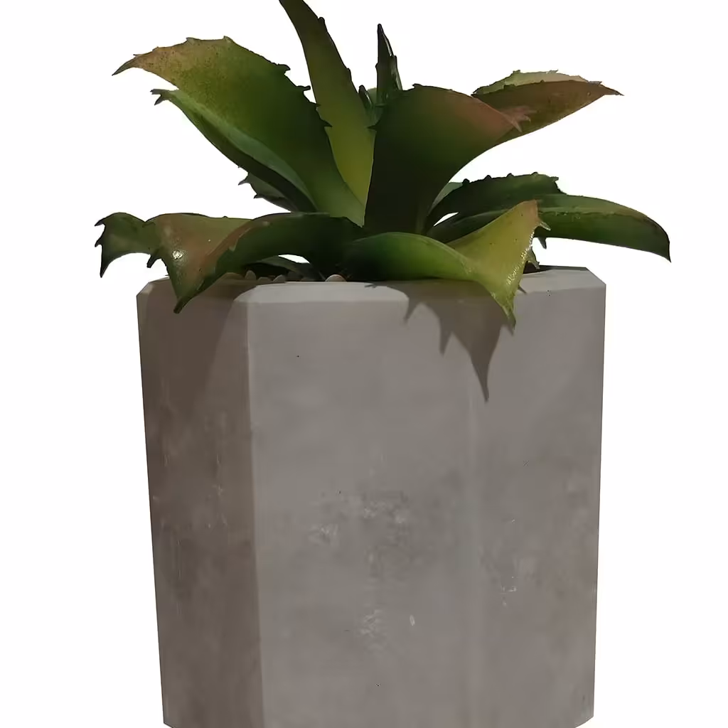 گلدان کاکتوس بتنی کد 14096