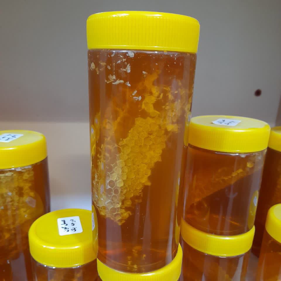 عسل گون درجه یک کوهستان و طبیعی