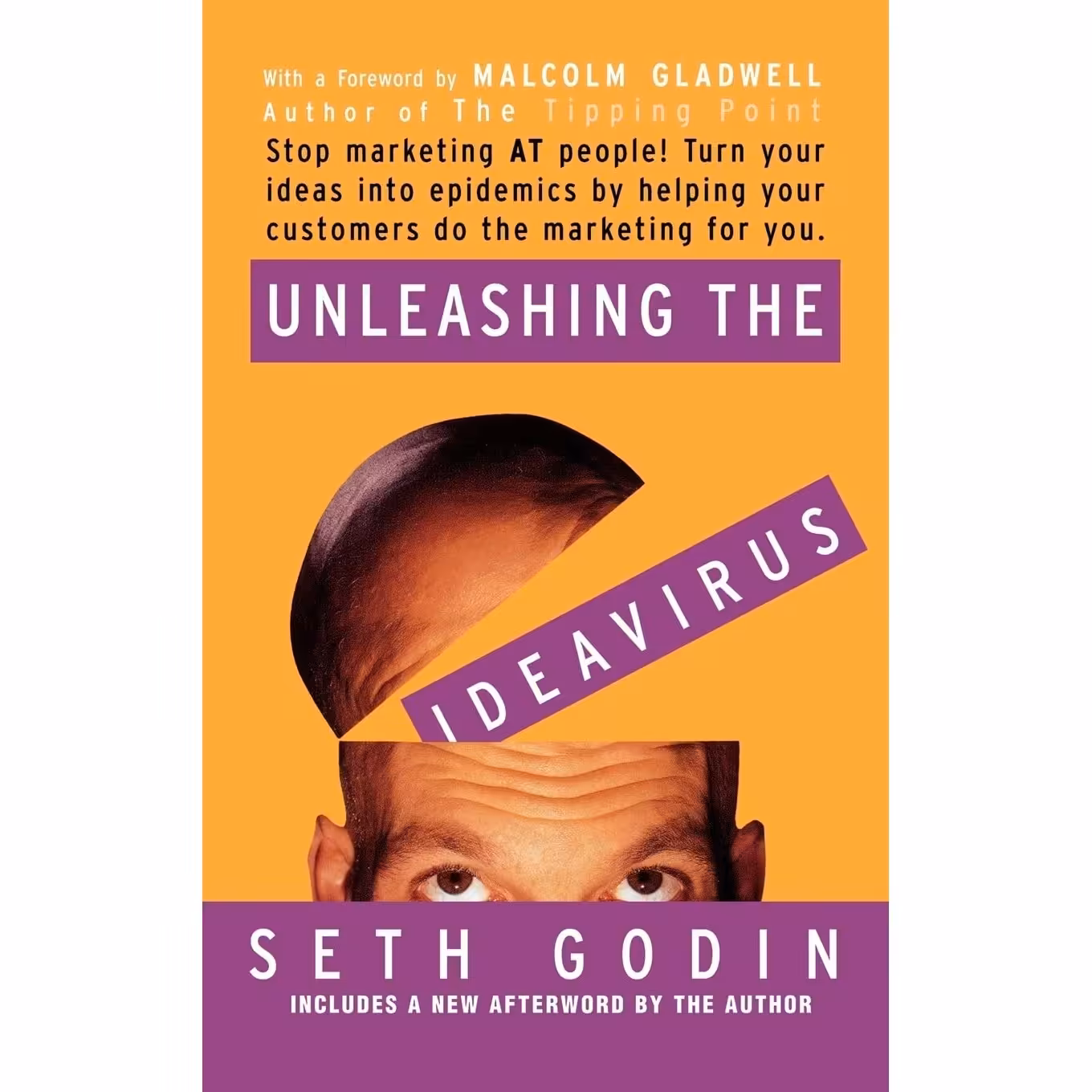 کتاب زبان اصلی Unleashing the Ideavirus اثر Seth Godin and Malcolm Gladwell