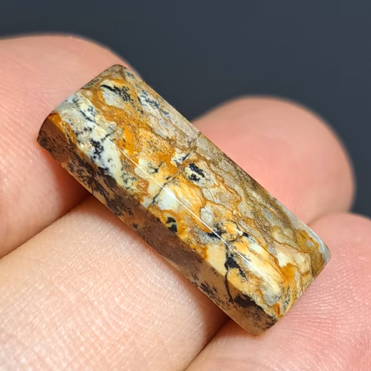 نگین سنگ جاسپر منظره شجر دار صد در صد طبیعی با اصالت 