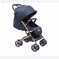 کالسکه مینی پرو دلیجان 