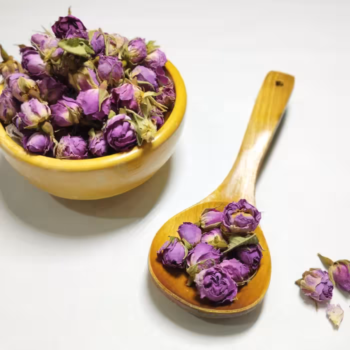 غنچه گل محمدی