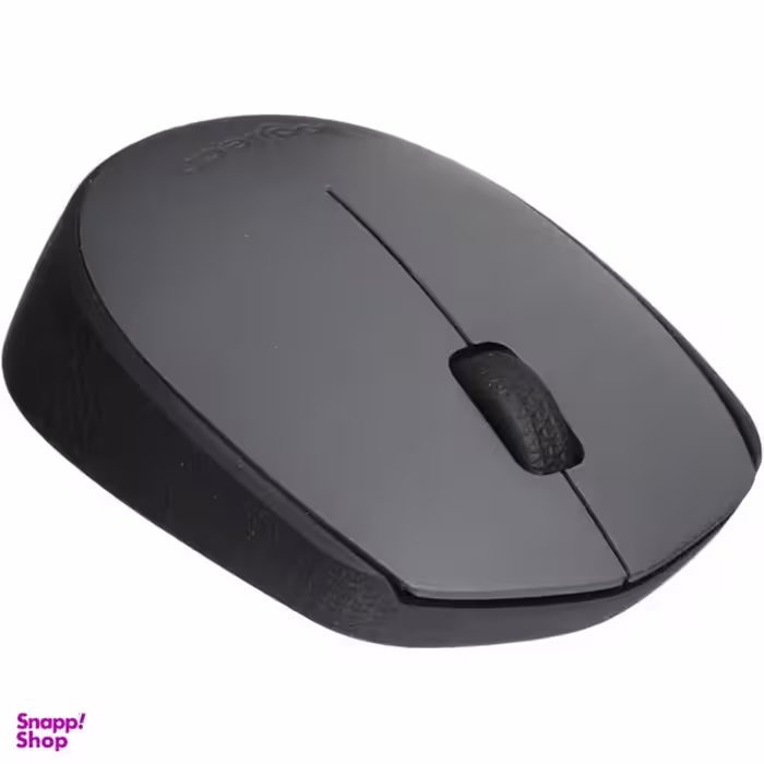 ماوس لاجیتک مدل M170