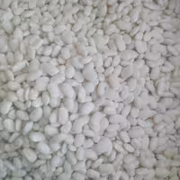 لوبیا سفید فله ای 