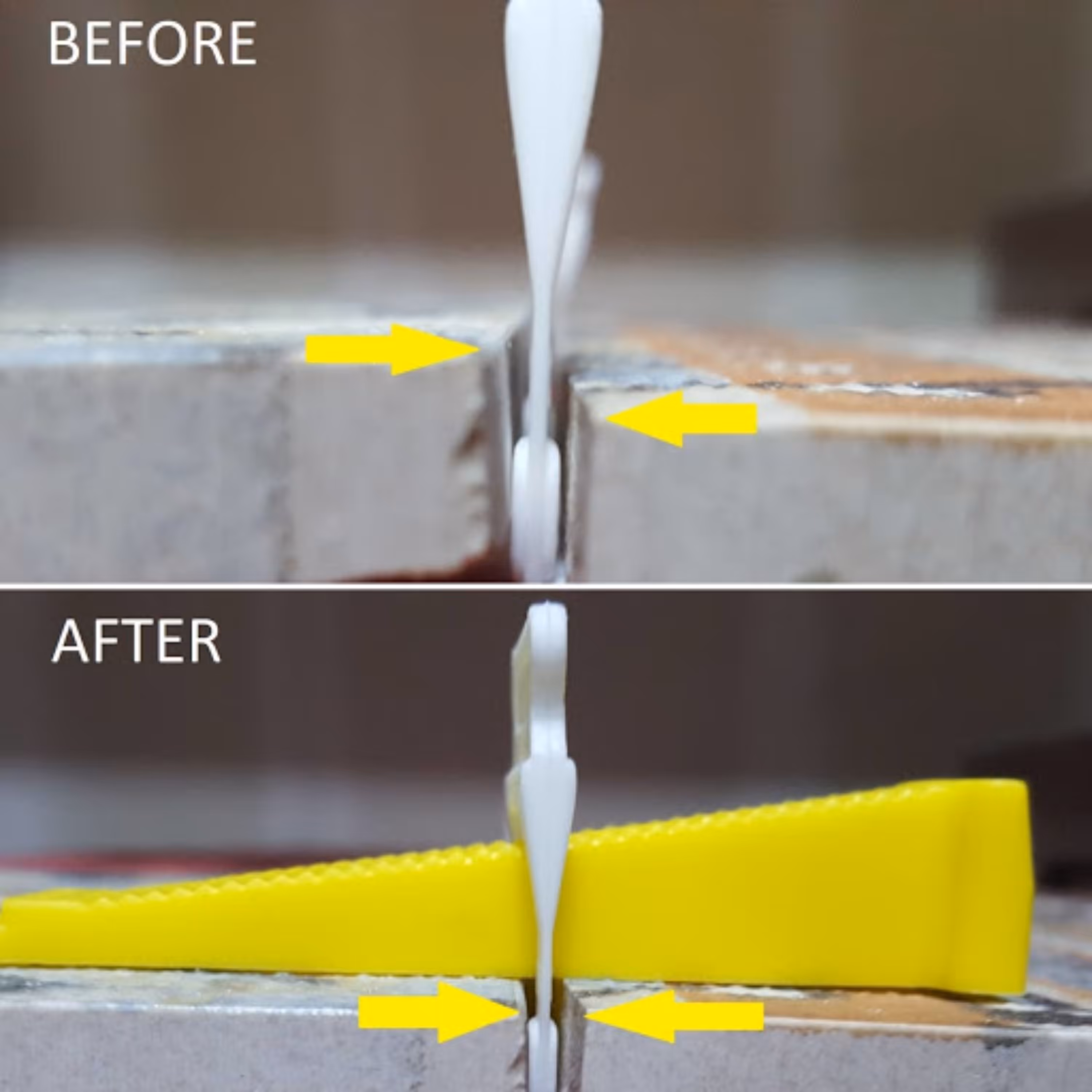 زیتون رودبار محصولی از شمال گیلان 