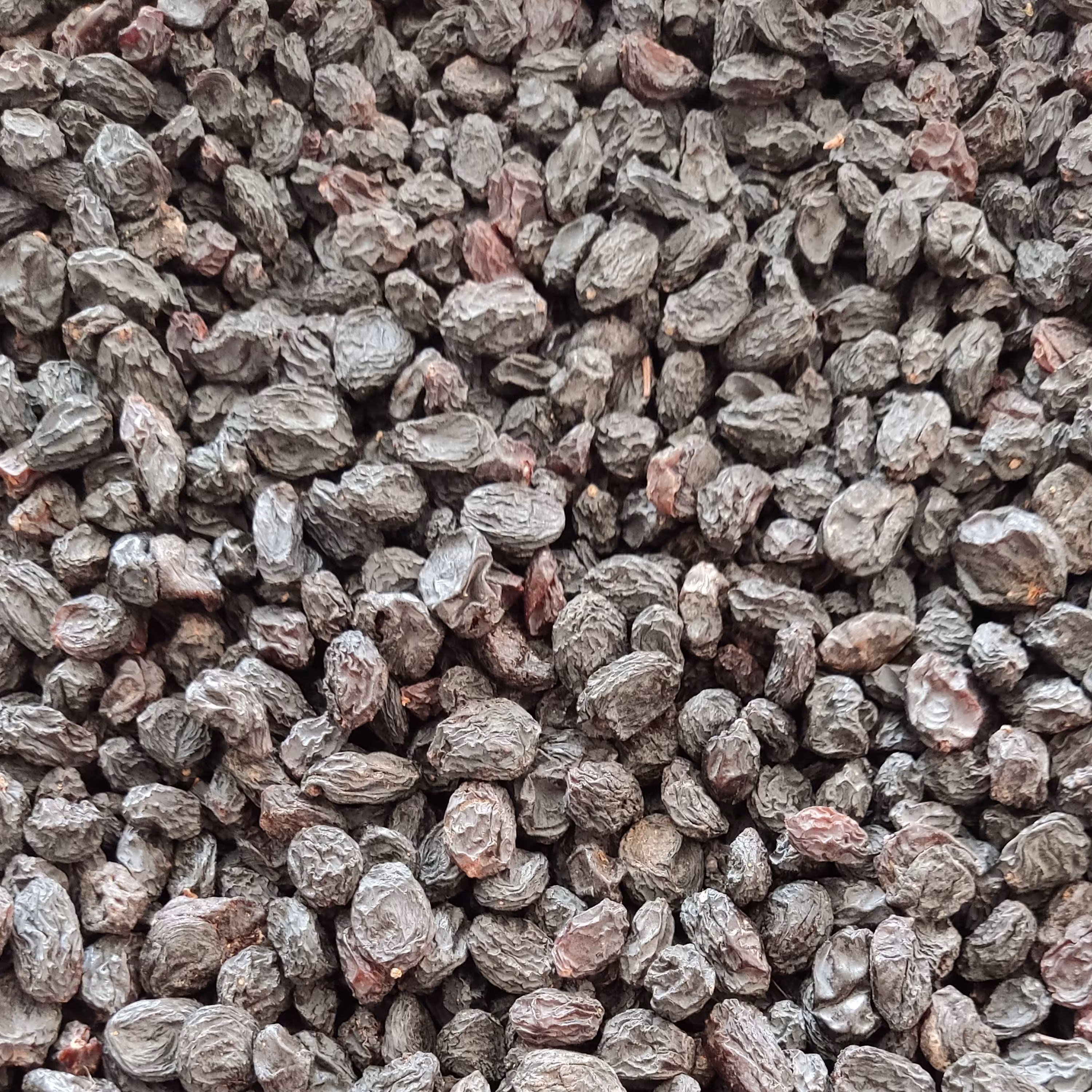 مویز بی هسته تمیز و ممتاز 10 کیلویی به قیمت عمده (تضمین کیفیت)