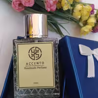 ادکلن YS با رایحه اسنتو ACCENTO
