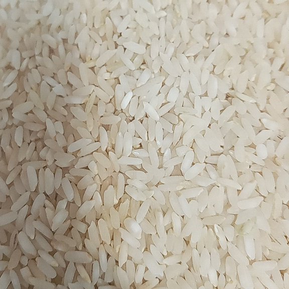 برنج کامفیروز