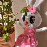 خرگوش نگین بانو