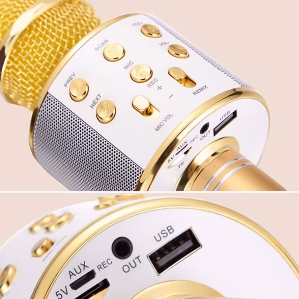 اسپیکر و میکروفن فلش خور شارژی