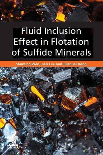  دانلود کتاب Fluid Inclusion Effect In Flotation Of Sulfide Minerals, 2019 - دانلود کتاب های دانشگاهی