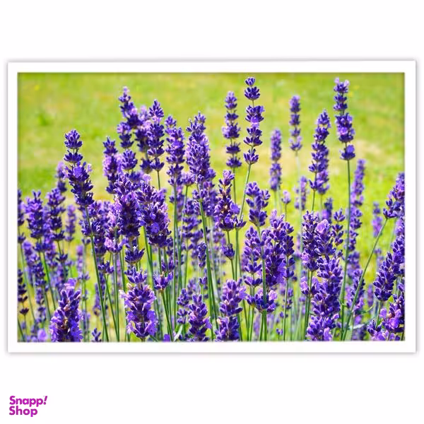 تابلو بکلیت طرح دشت سنبل مدل W-S3001