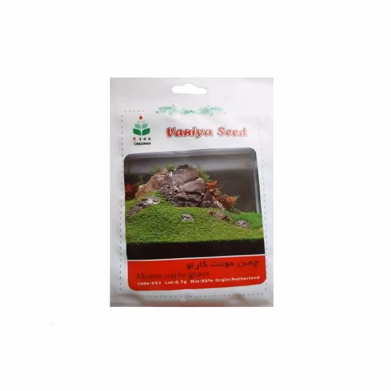 بذر چمن مونت کارلو