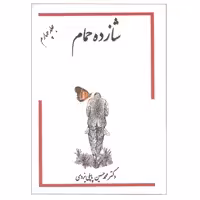 کتاب شازده حمام جلد 4 اثر دکتر محمد حسین پاپلی یزدی انتشارات گوتنبرگ 