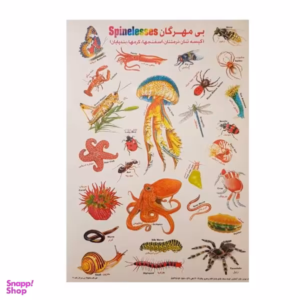 برچسب مدل بی مهرگان کد BI2