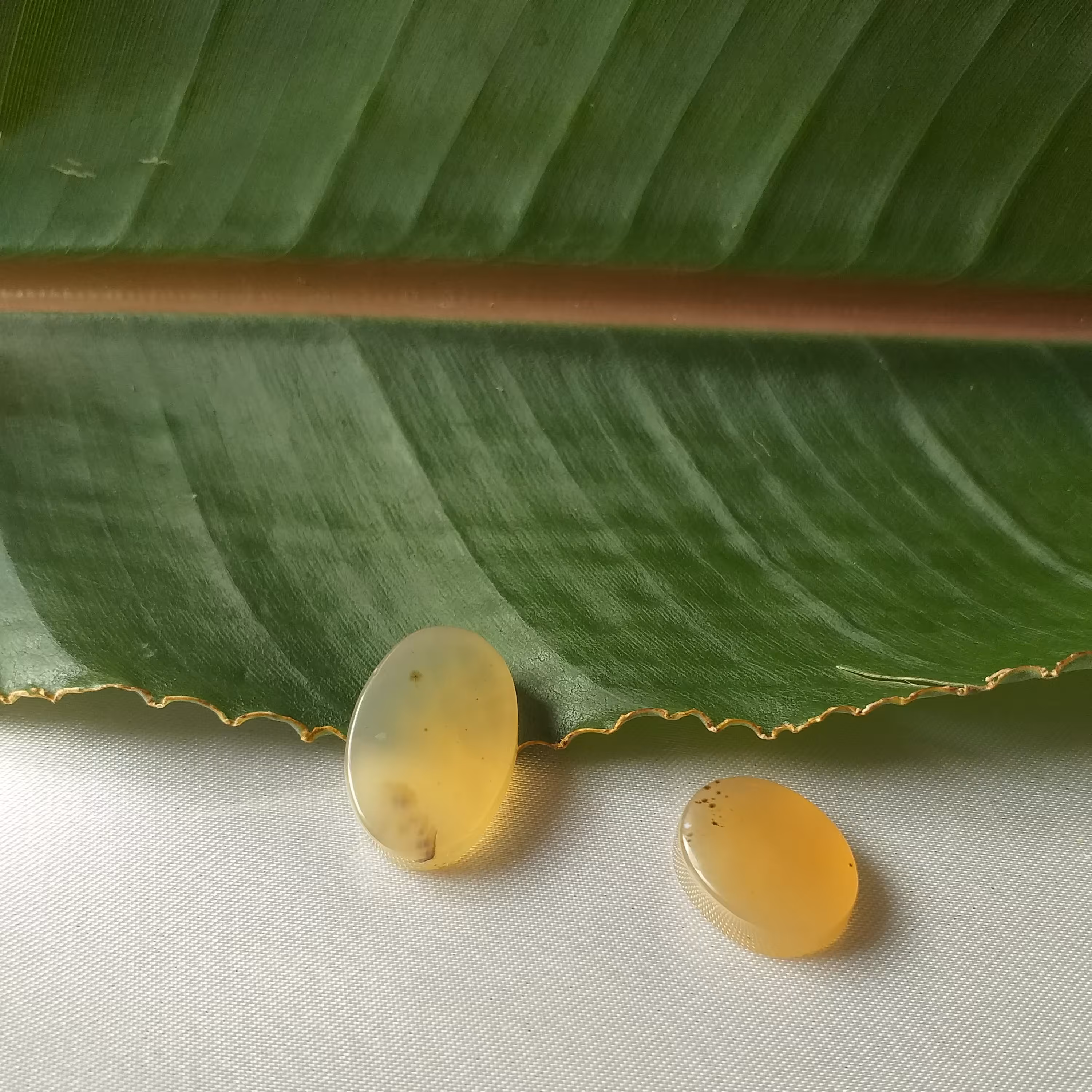 نیم ست عسلی