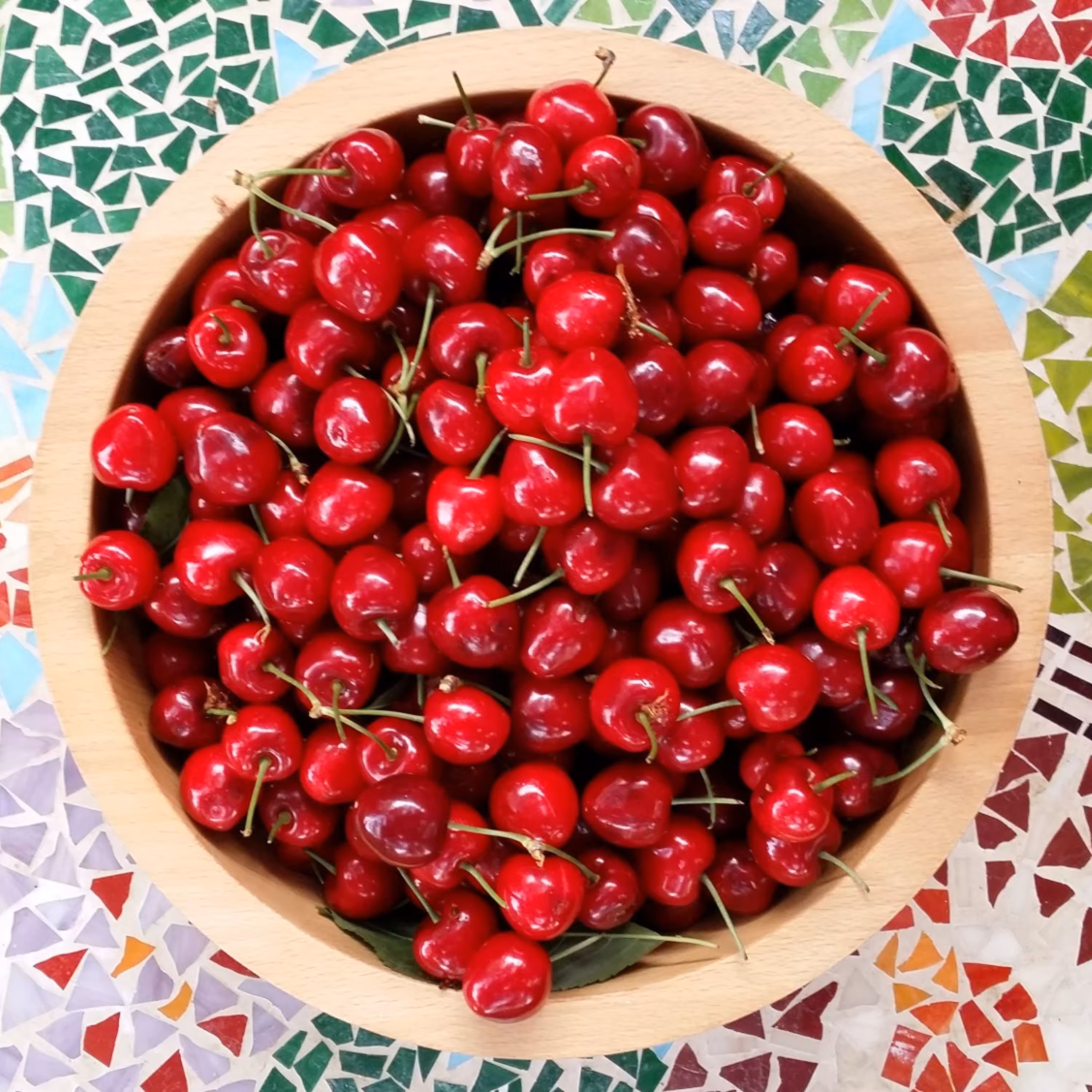 بذر آلبالو محلی 10 عددی