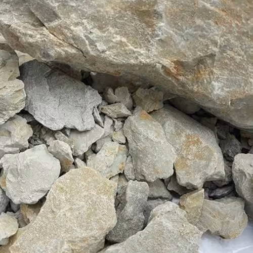 گل سرشور یک کیلویی