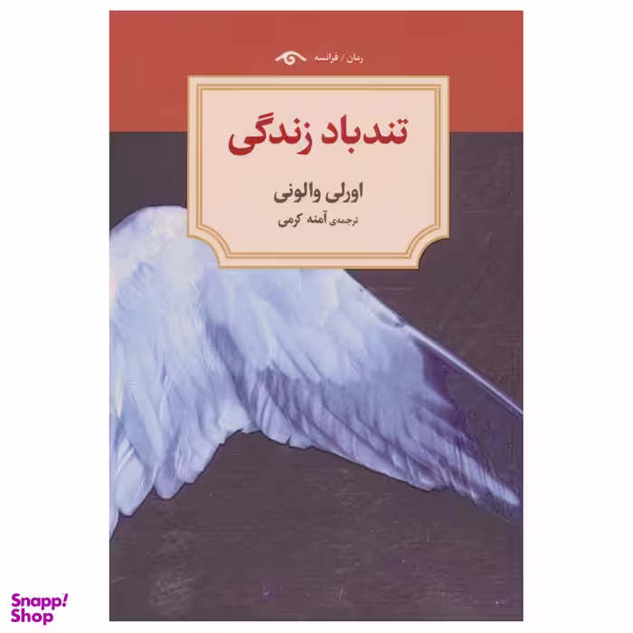 کتاب تند باد زندگی اثر اورلی والونی انتشارات  دیدآور