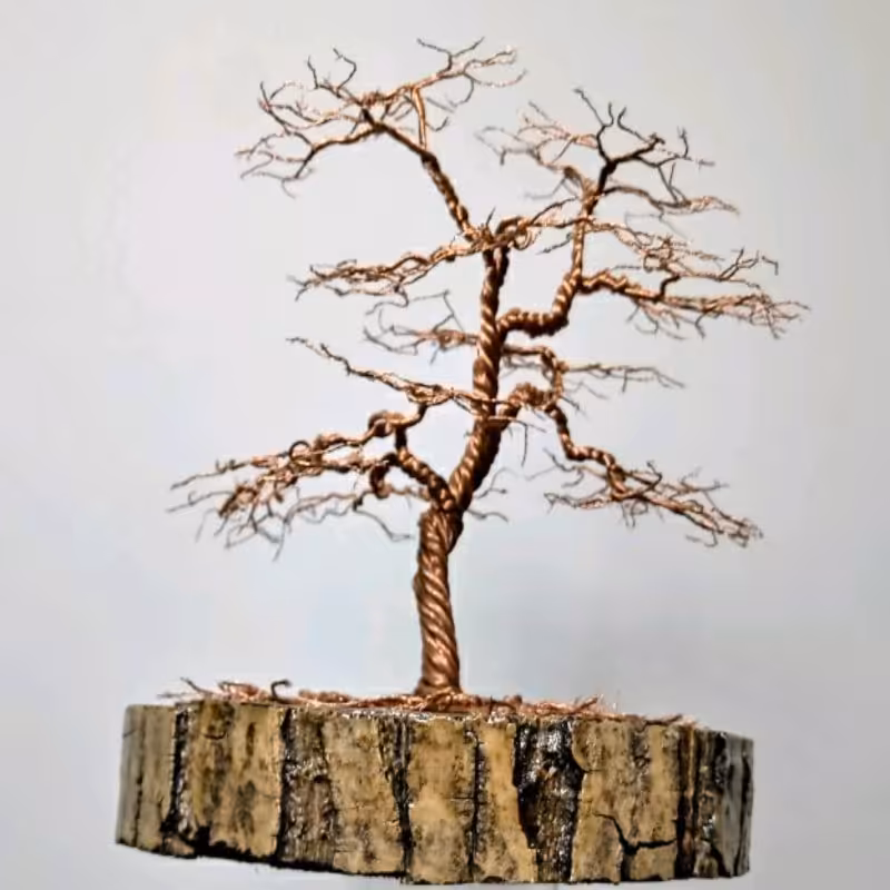 درختچه تزئینی سیمی بونسای