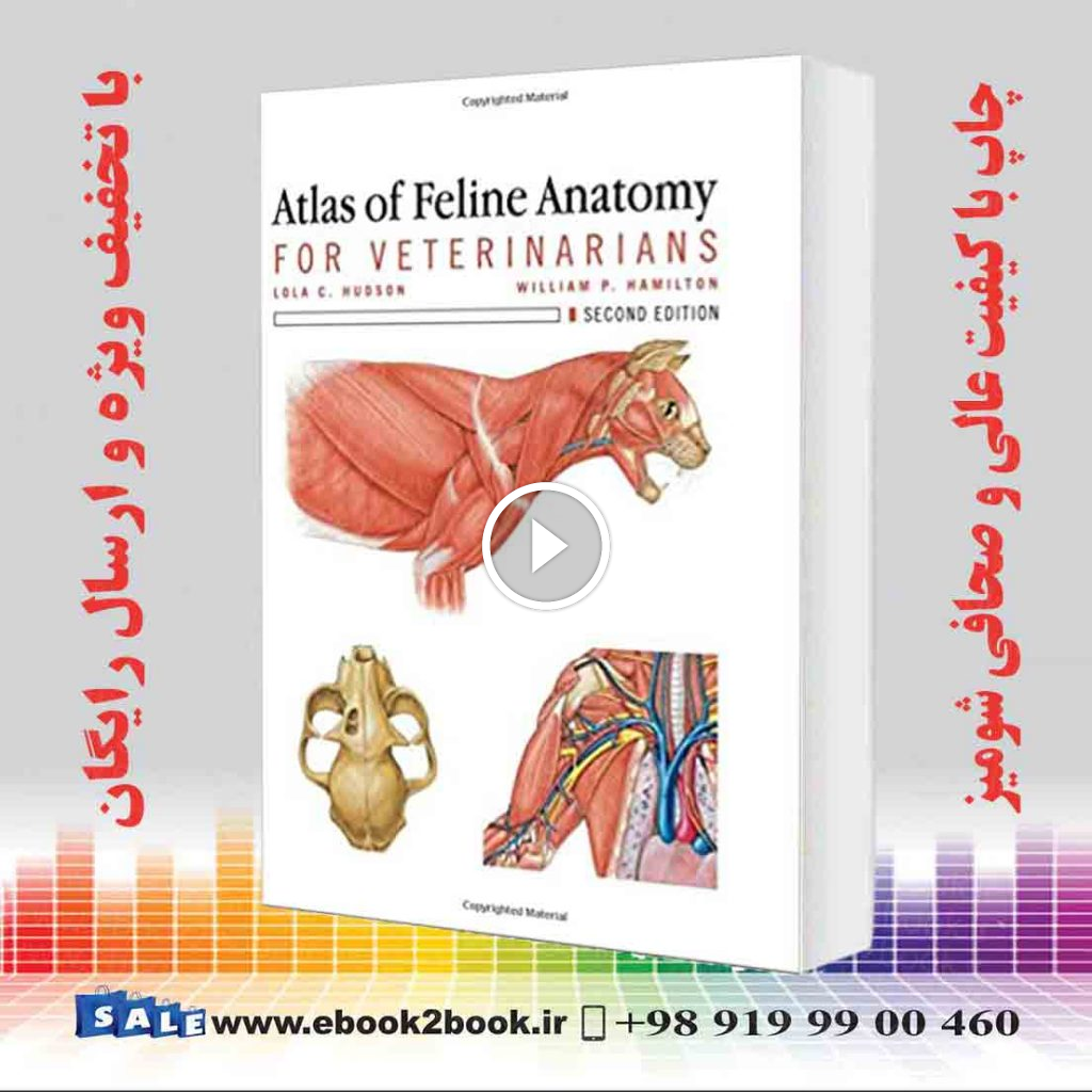 Atlas of Feline Anatomy For Veterinarians 2nd Edition