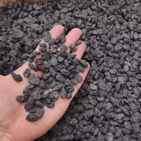 مویز درجه 1 افغان