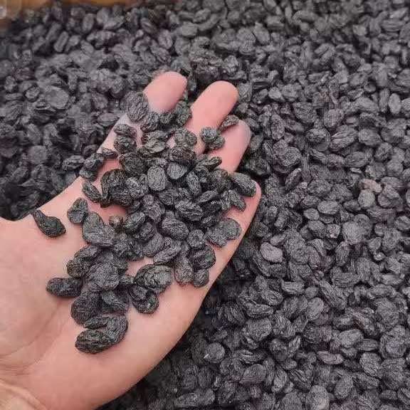 مویز درجه 1 افغان