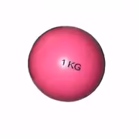 توپ شنی 1 کیلویی لوتوس فیتنس Lotus Fitness Sand Ball