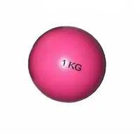 توپ شنی 1 کیلویی لوتوس فیتنس Lotus Fitness Sand Ball